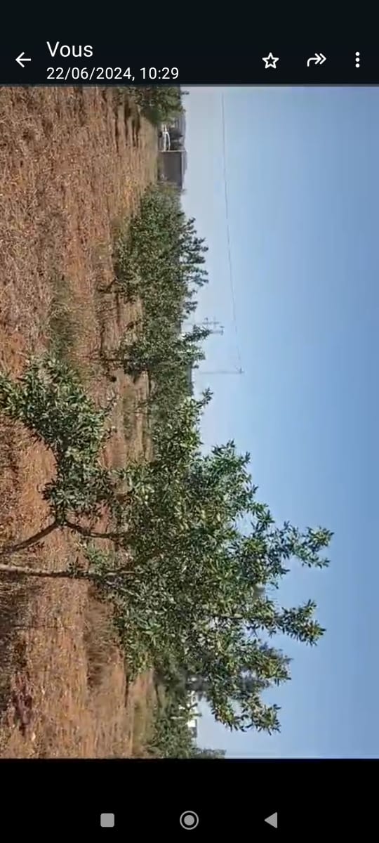 Bir Mcherga&nbsp;Delaiel El Arouss&nbsp;Terrain&nbsp;Terrain agricole&nbsp;Ferme 6hectares et 5000m2