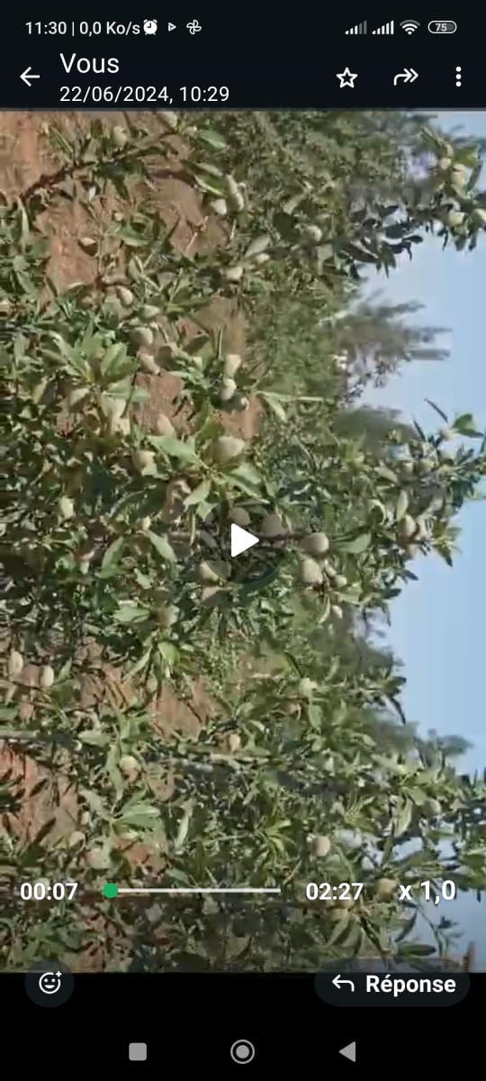 Bir Mcherga&nbsp;Delaiel El Arouss&nbsp;Terrain&nbsp;Terrain agricole&nbsp;Ferme 6hectares et 5000m2