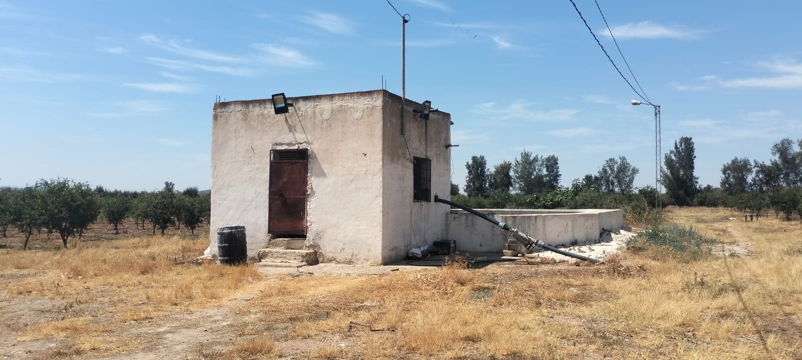 Bir Mcherga&nbsp;Boucha&nbsp;Terrain&nbsp;Terrain agricole&nbsp;11hectares  grenadiers et d'oliviers