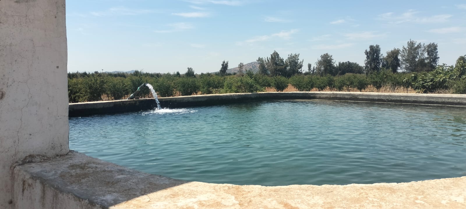 Terrain&nbsp;Terrain agricole