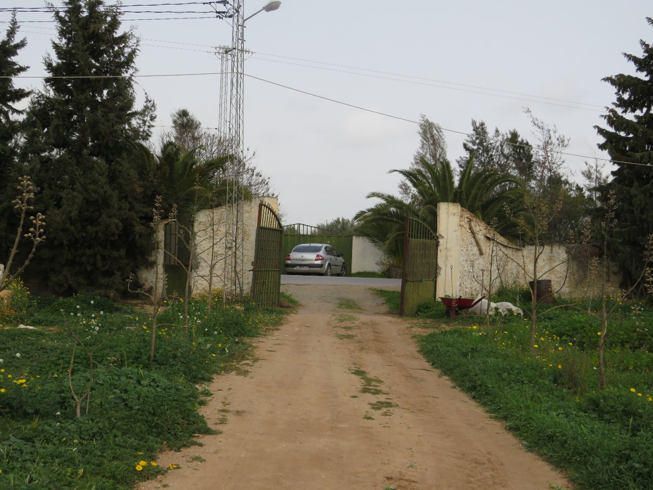 Bir Mcherga&nbsp;Boucha&nbsp;Terrain&nbsp;Terrain agricole&nbsp;7 hectares de ferme de grenadiers et d'oliviers