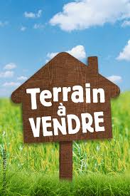 Terrain Terrain nu