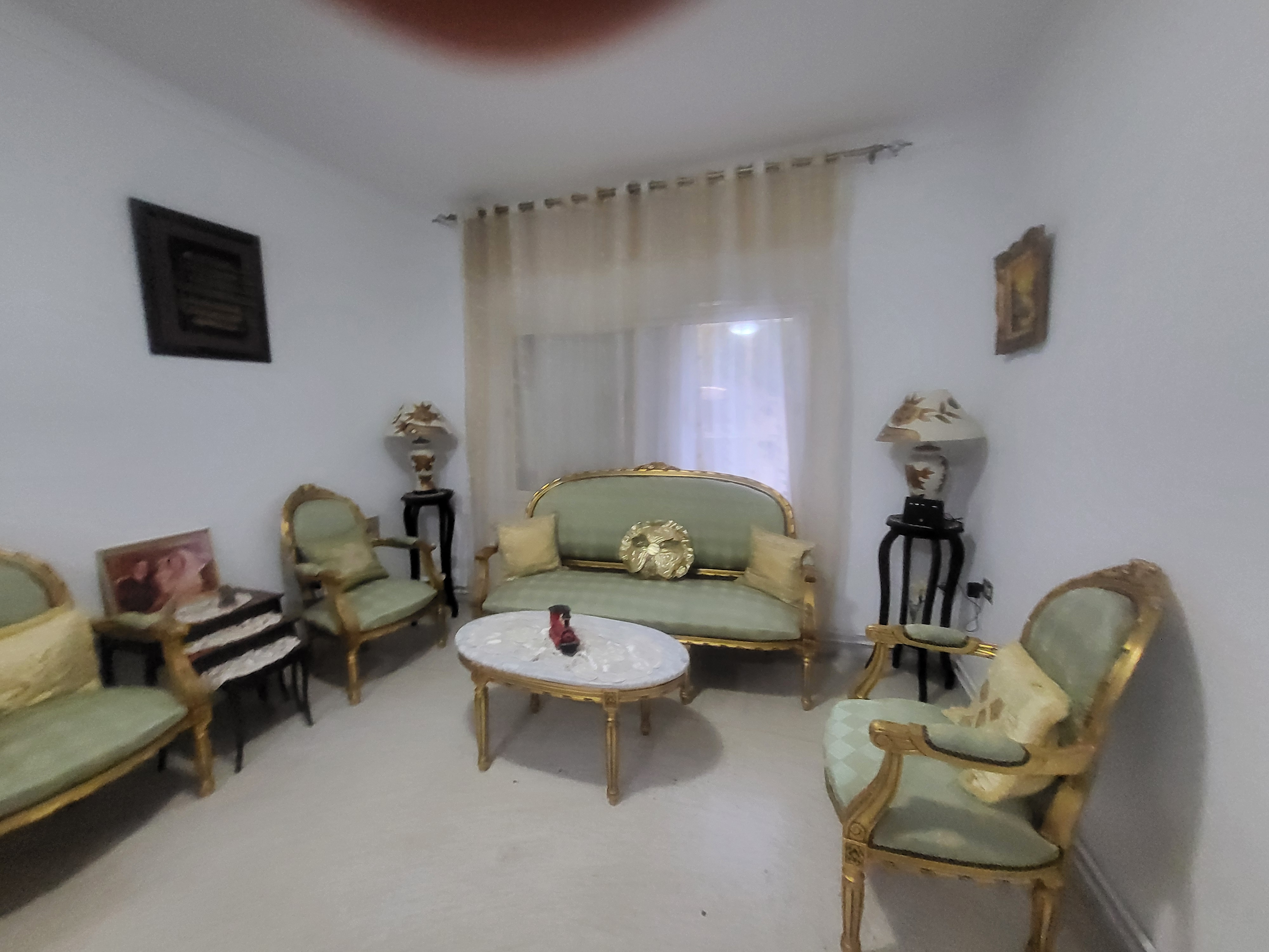 Salon - Salle  manger  Salons