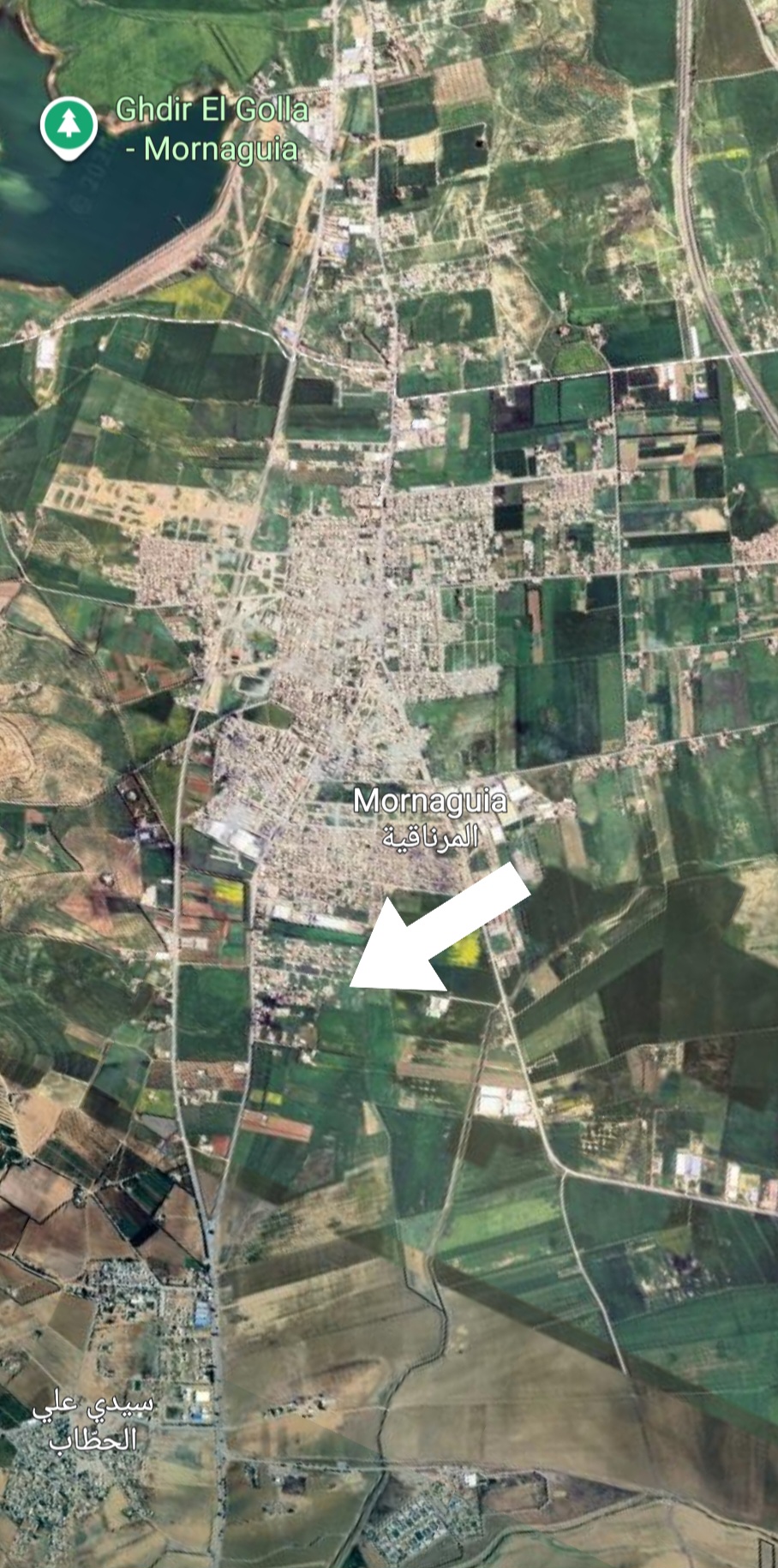 Mornaguia Mornaguia Terrain Terrain nu Terrains nus de 150 m2 et plus