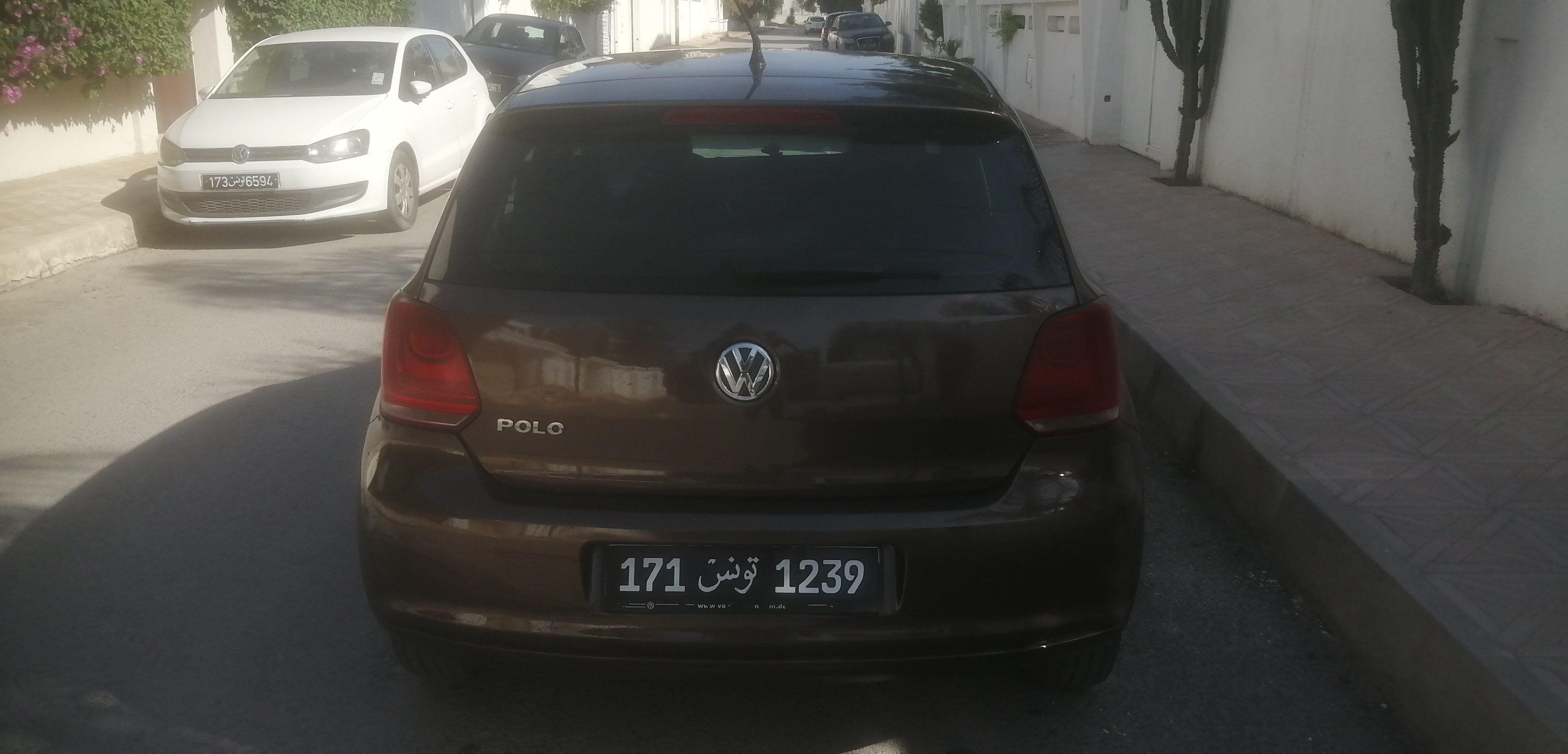 Volkswagen Polo 7