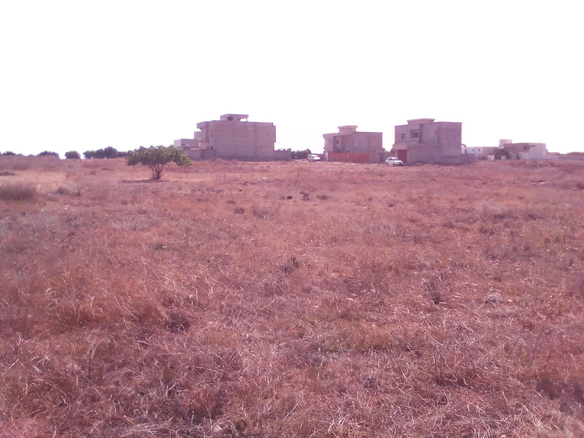 Terrain Terrain nu