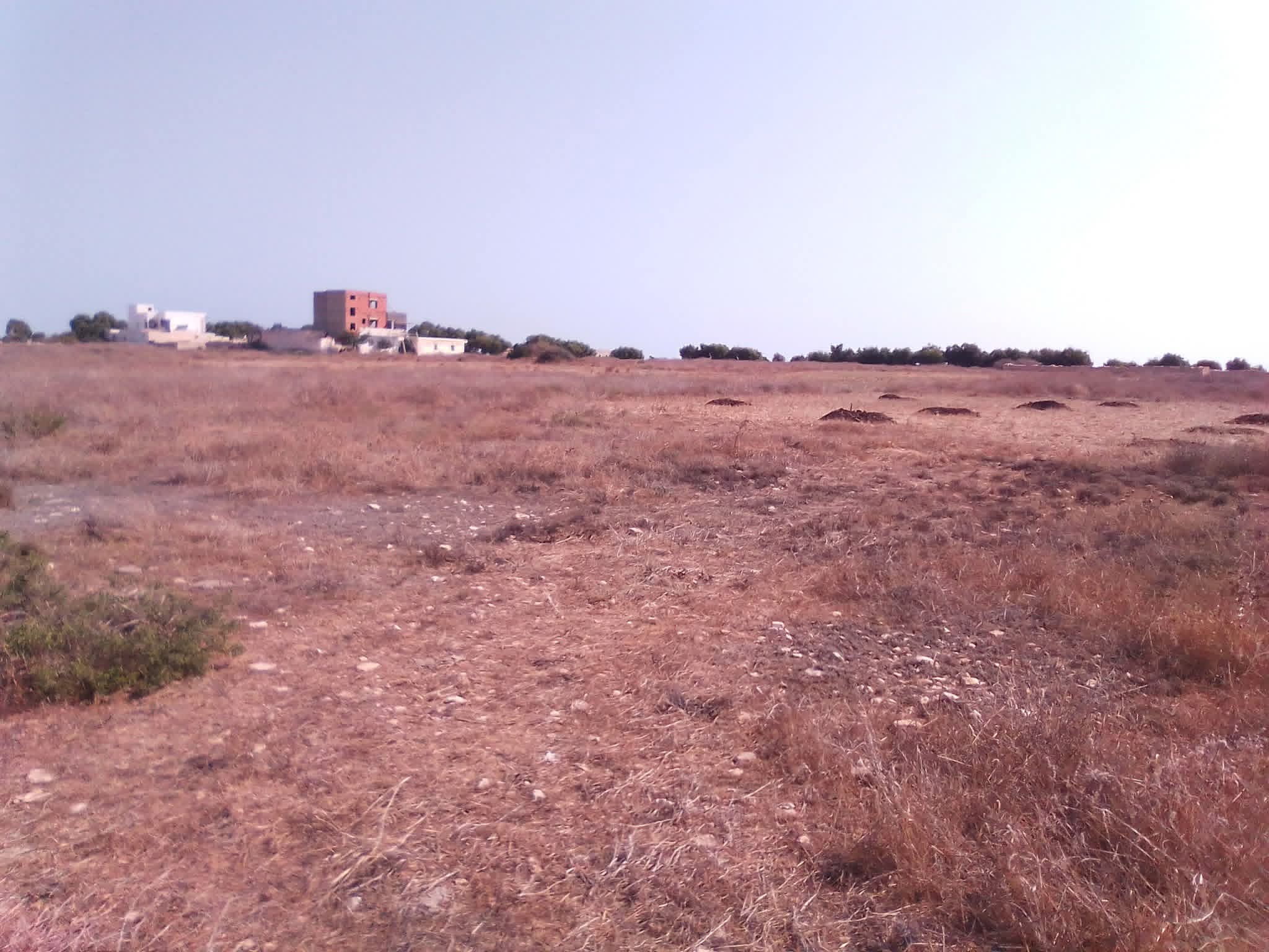 Terrain Terrain nu