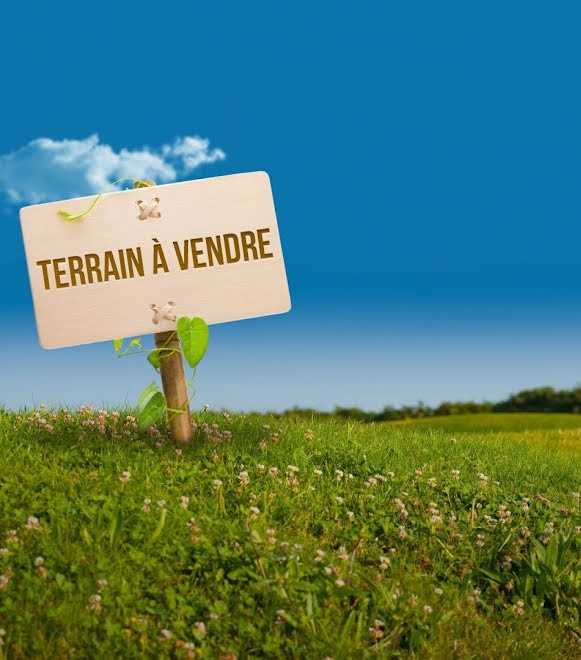 Vente Surfaces