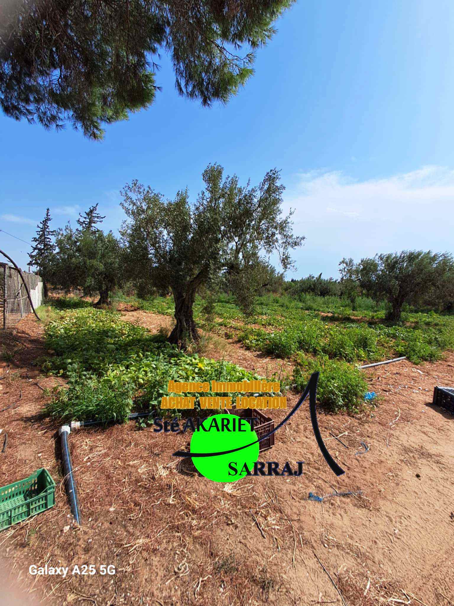 Terrain Terrain agricole
