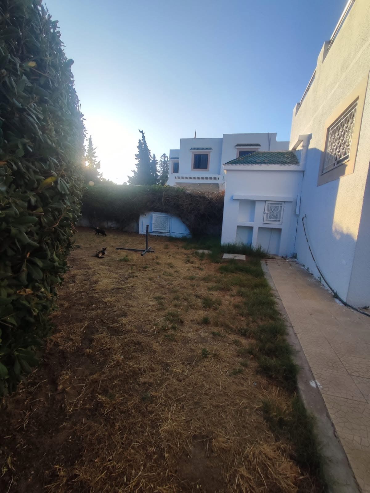 El Menzah El Manar 2 Location Maisons Villa a usage bureautique ou habitation a manar 3