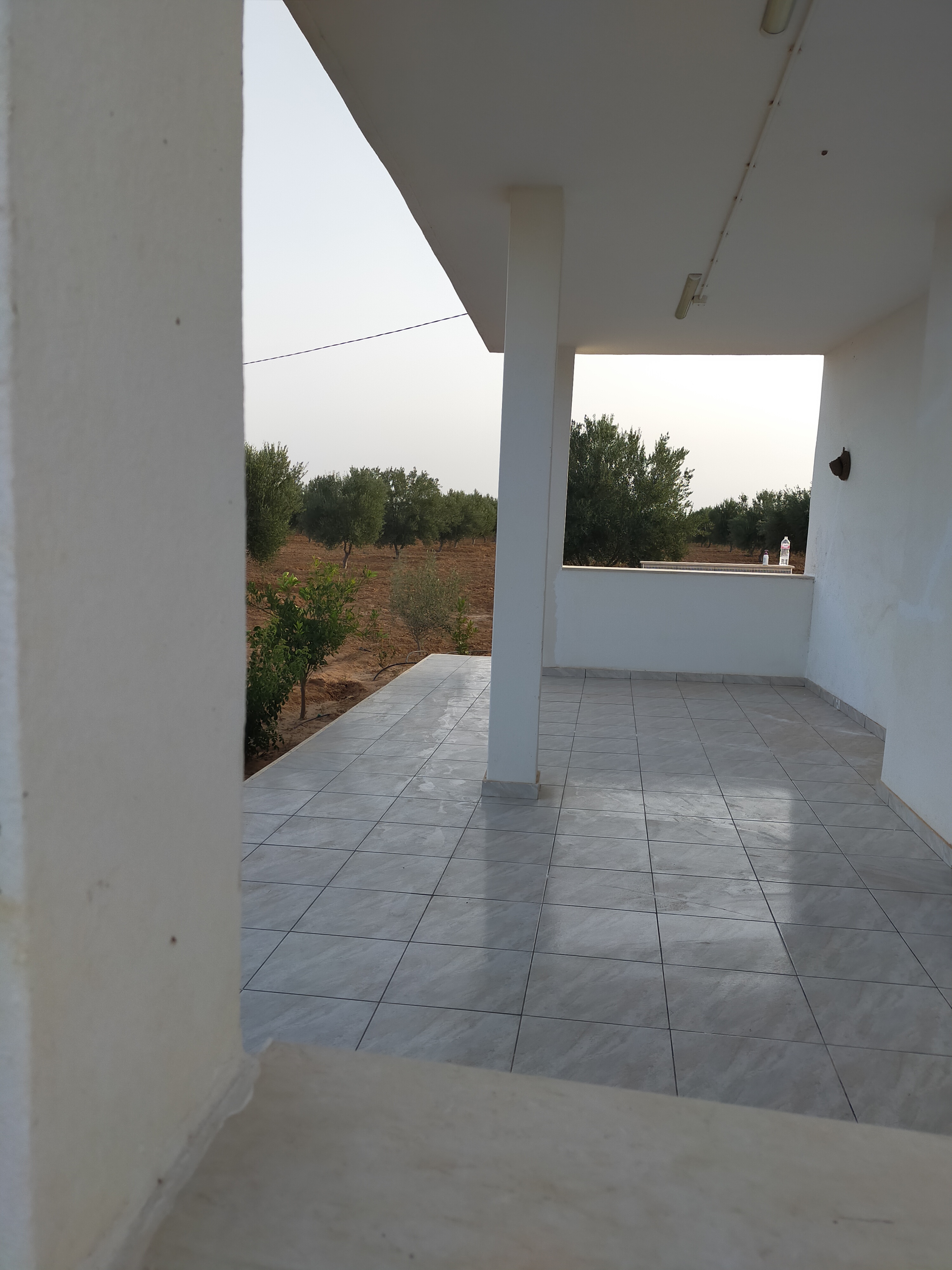Sfax Ville Sfax Terrain Terrain agricole Terrain agricole gremda bouthadi sfax