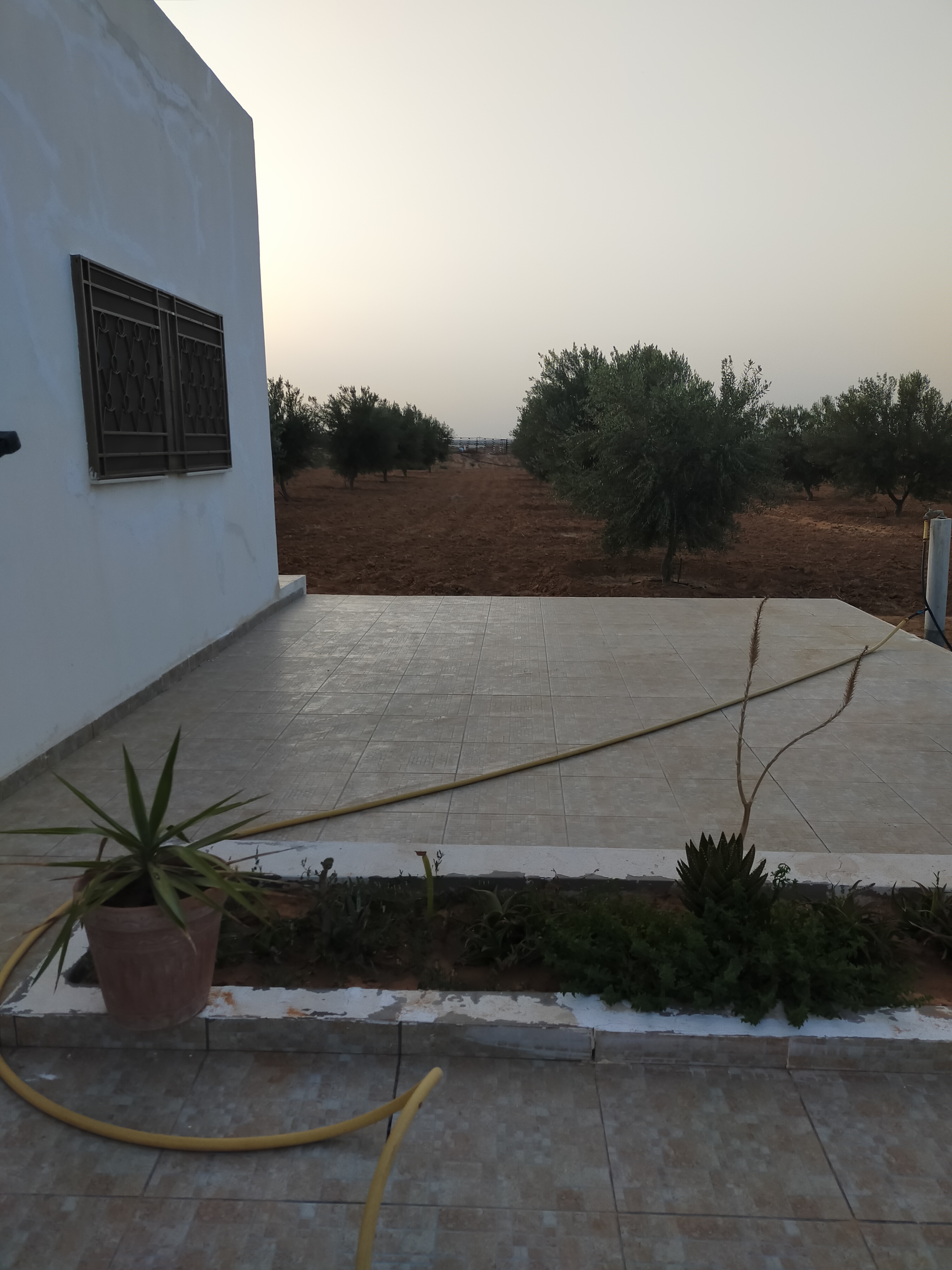 Sfax Ville Sfax Terrain Terrain agricole Terrain agricole gremda bouthadi sfax
