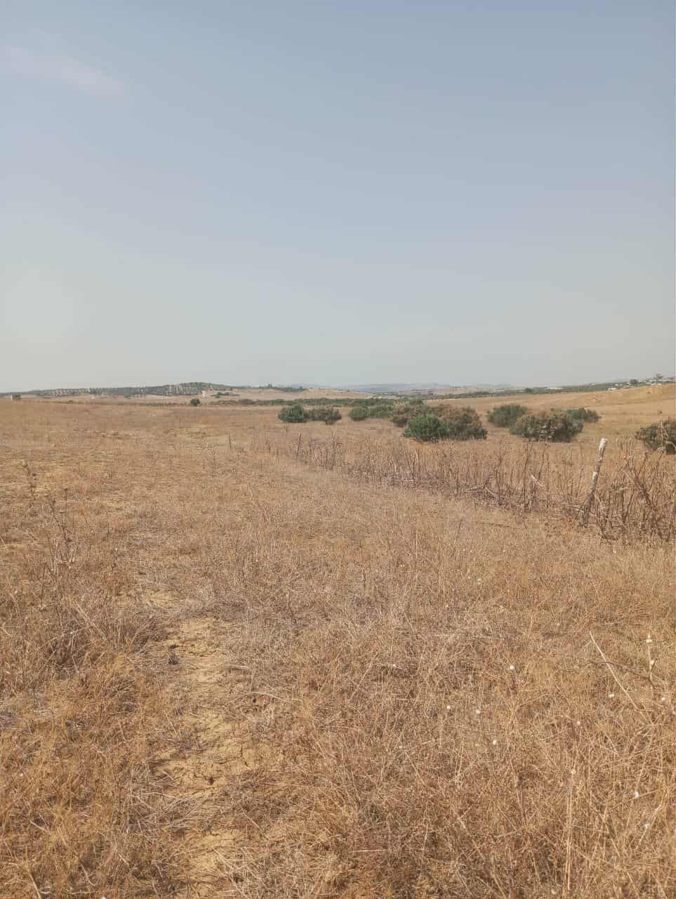 Hammam Zriba Bou Achir Terrain Terrain nu Av 7 hectares zaghouan direction hammamet