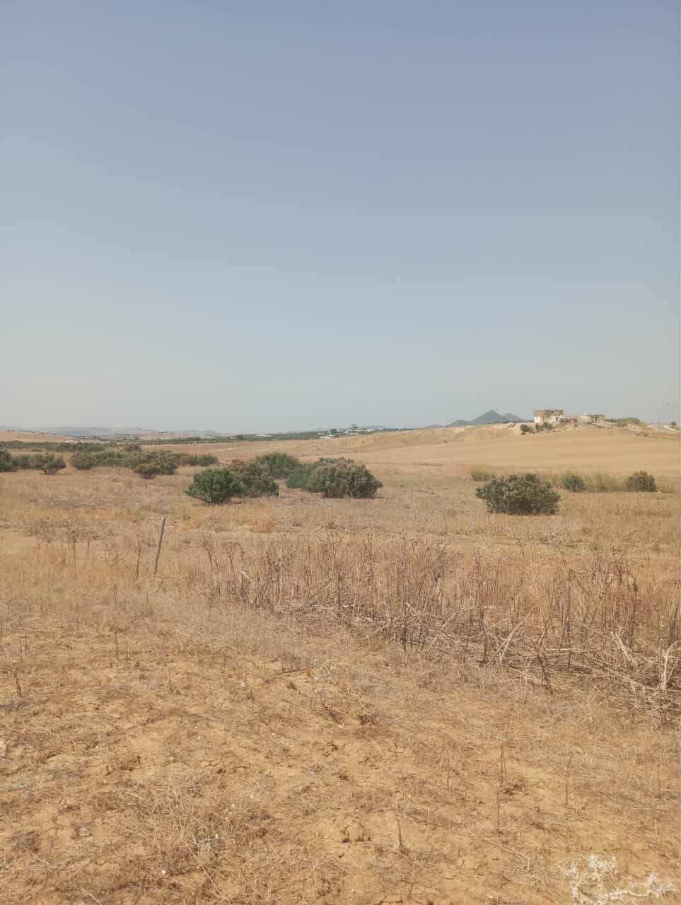 Hammam Zriba Bou Achir Terrain Terrain nu Av 7 hectares zaghouan direction hammamet