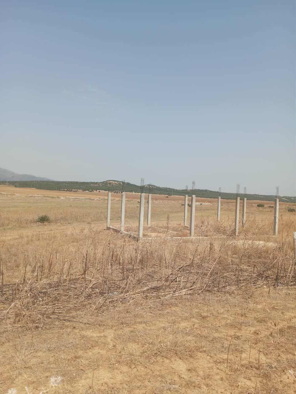 Hammam Zriba Bou Achir Terrain Terrain nu Av 7 hectares zaghouan direction hammamet