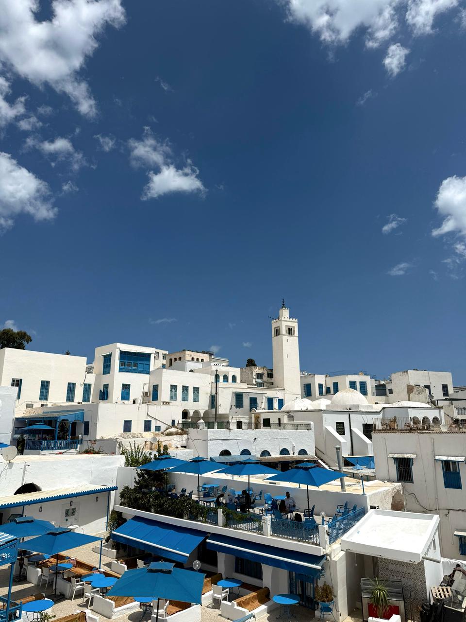 Carthage Sidi Bousaid Location Maisons Superbe villa meubl  sidi bousaid