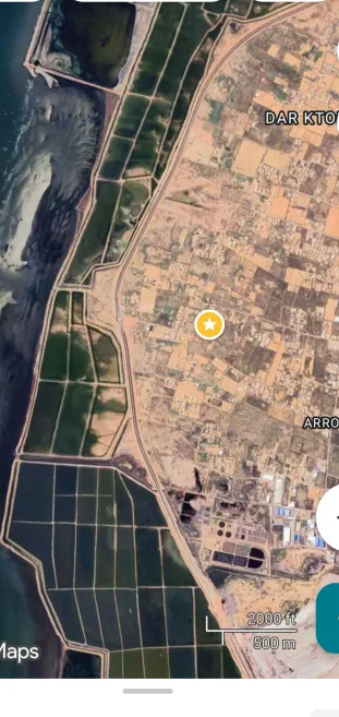 Sfax Sud&nbsp;Tyna&nbsp;Terrain&nbsp;Terrain nu&nbsp;Terrain sfax thyna