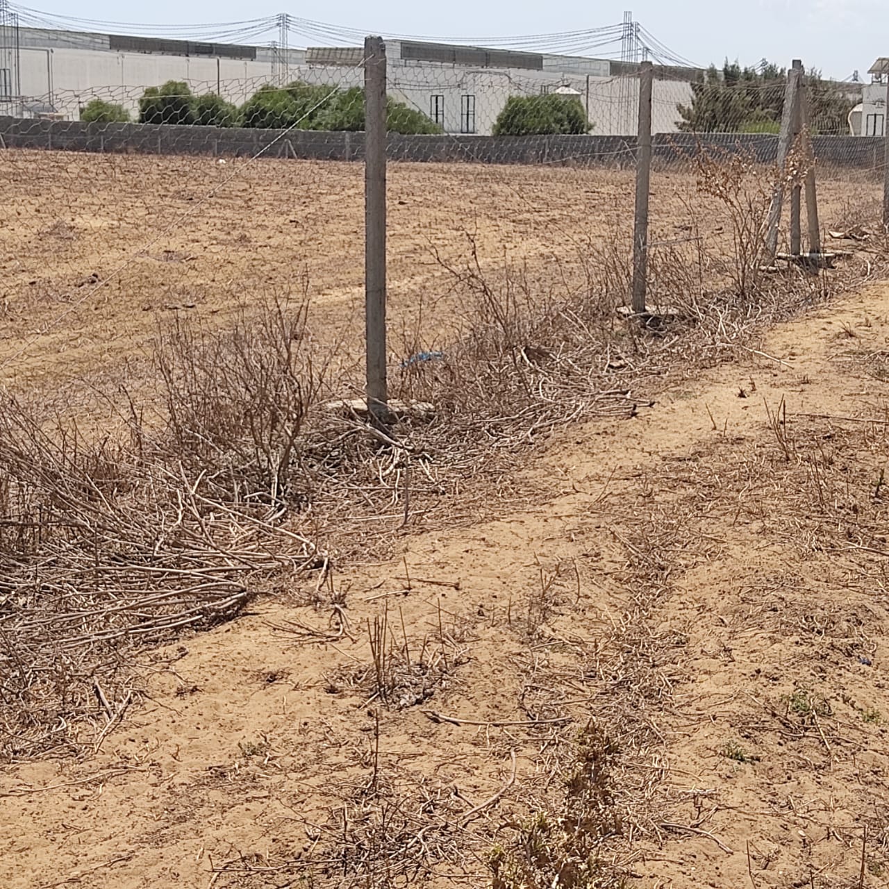 Terrain Terrain agricole