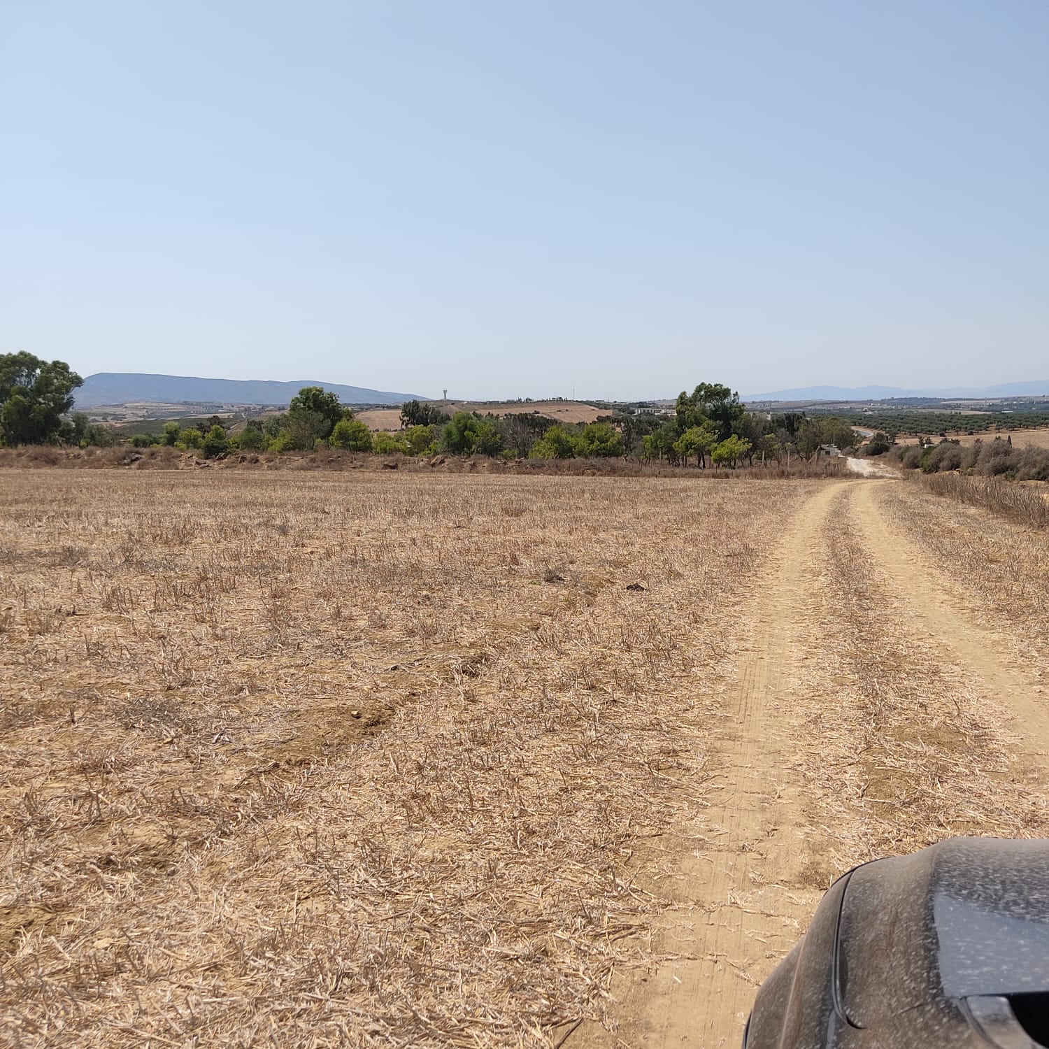 Takelsa Sidi Issa Terrain Terrain agricole Bonne affaire
