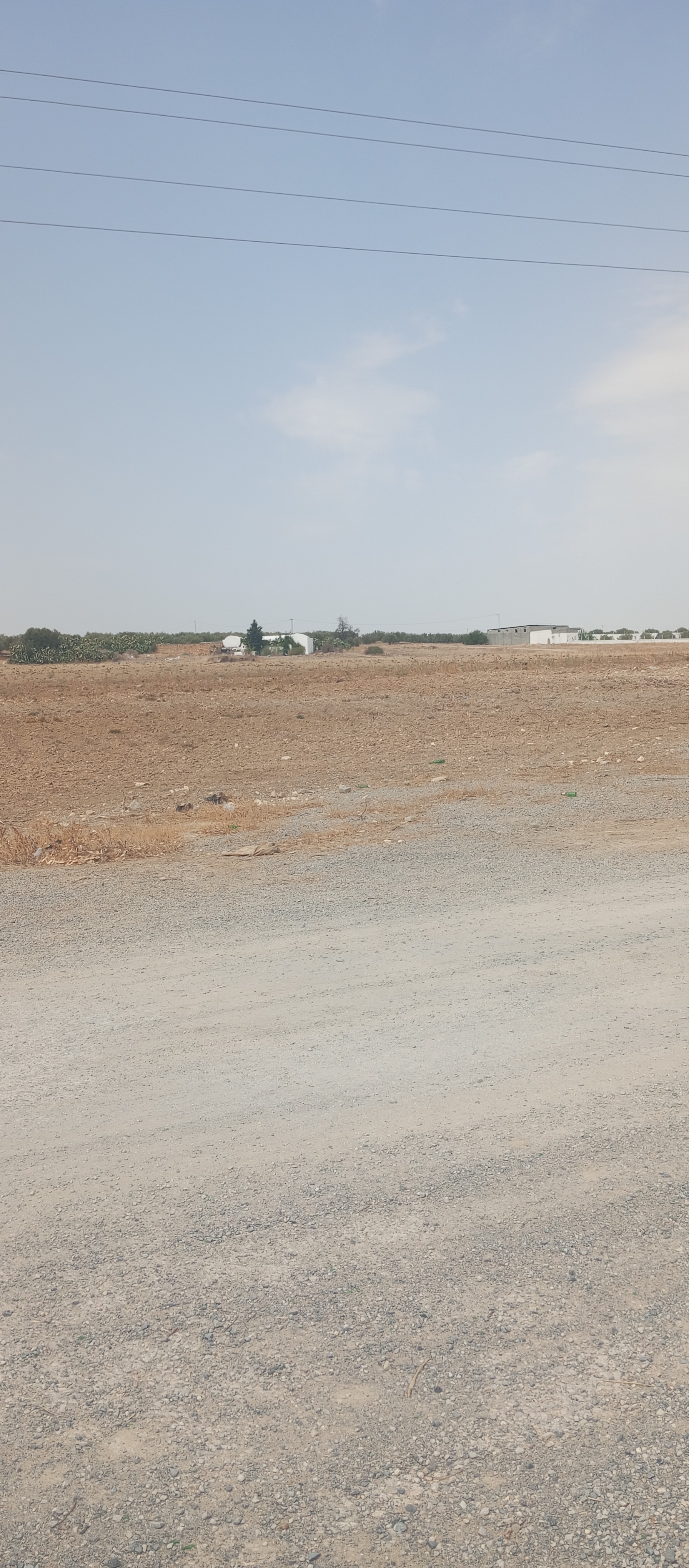 Terrain Terrain agricole