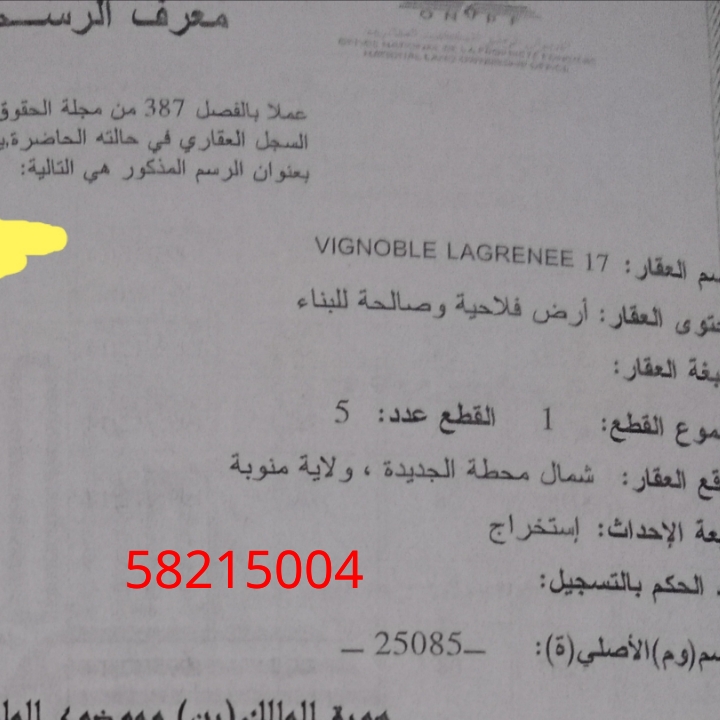 Jedaida Jedaida Vente Surfaces Lol de terrain