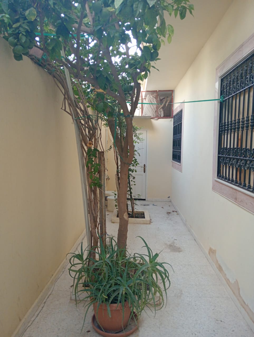 Carthage Carthage Location Appart. 3 pices Super rez chausse s2 avec terrasse  cit banque