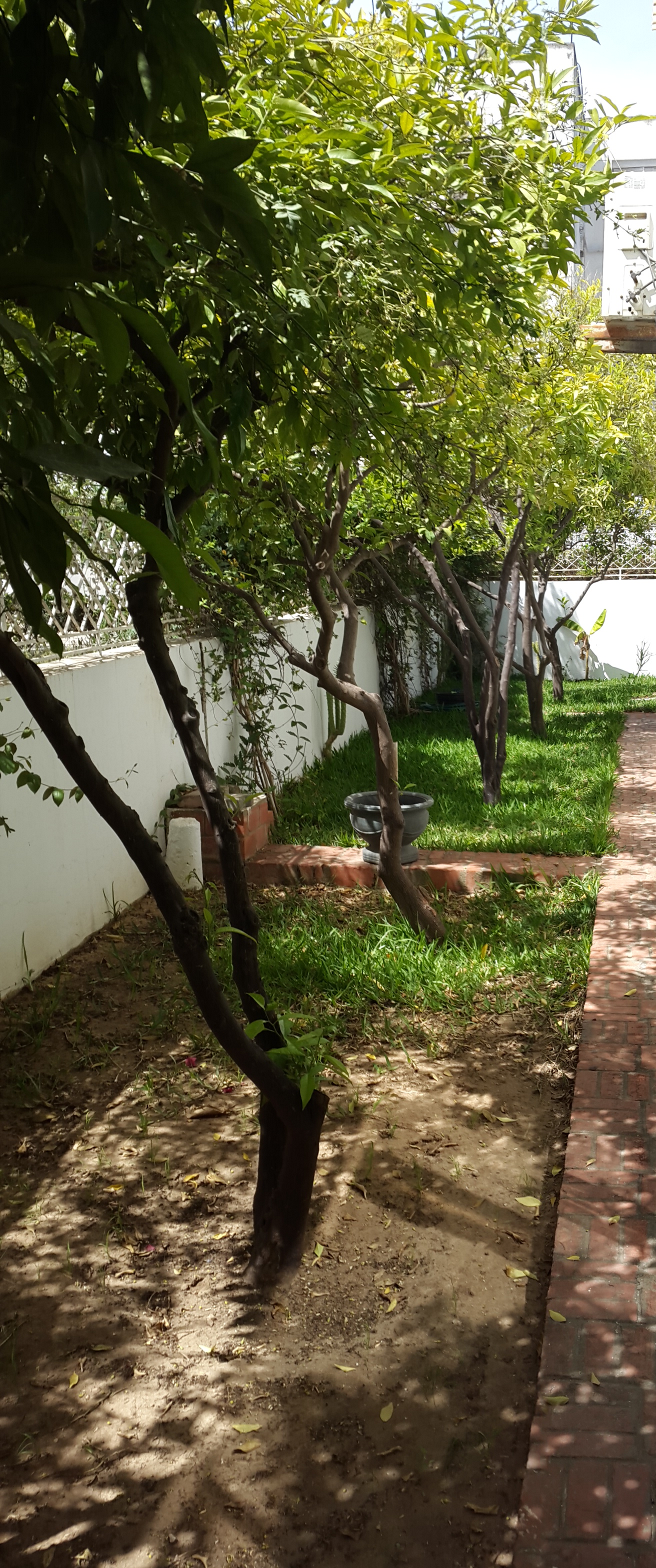 Location Appart. 2 pices