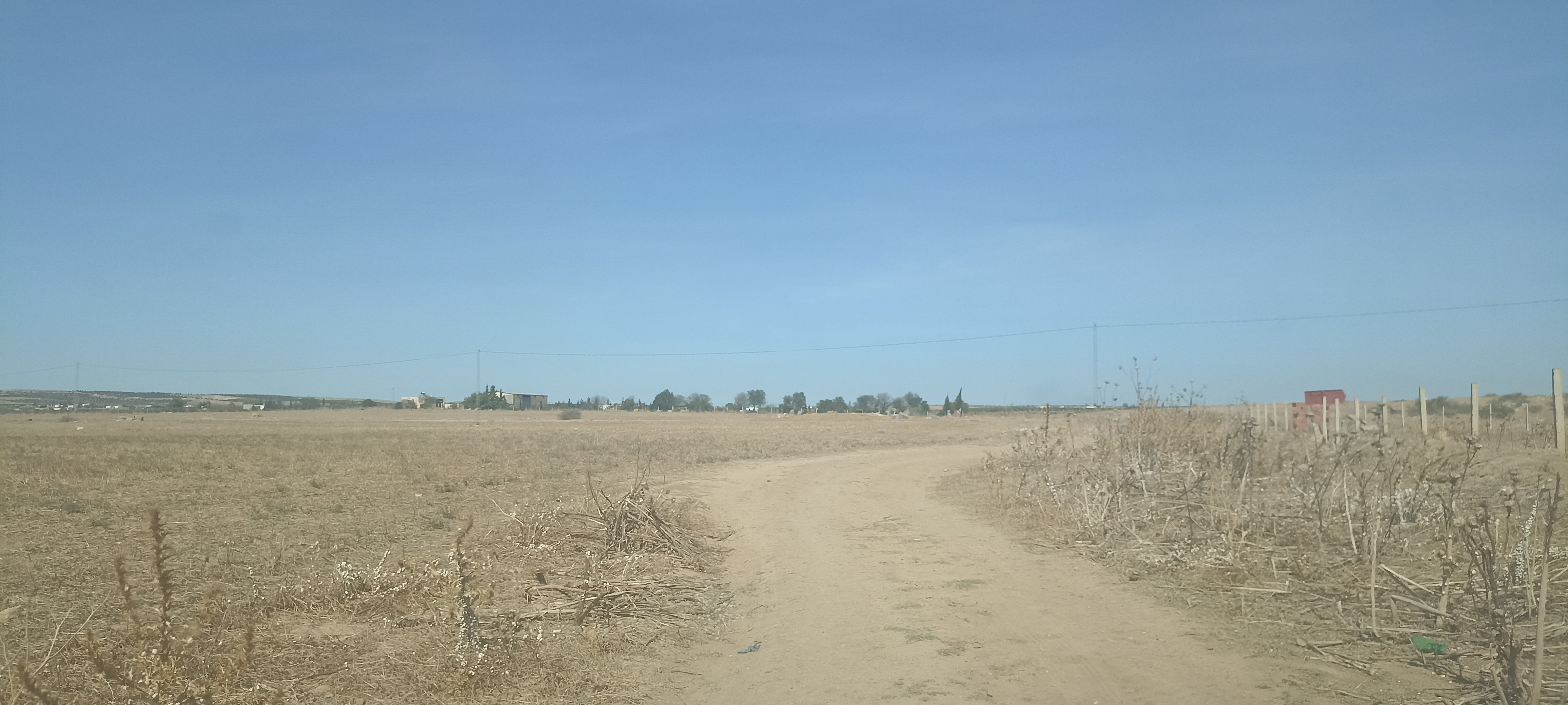 Bir Mcherga Delaiel El Arouss Terrain Terrain agricole 8 hectares nu excellente nappe phratique