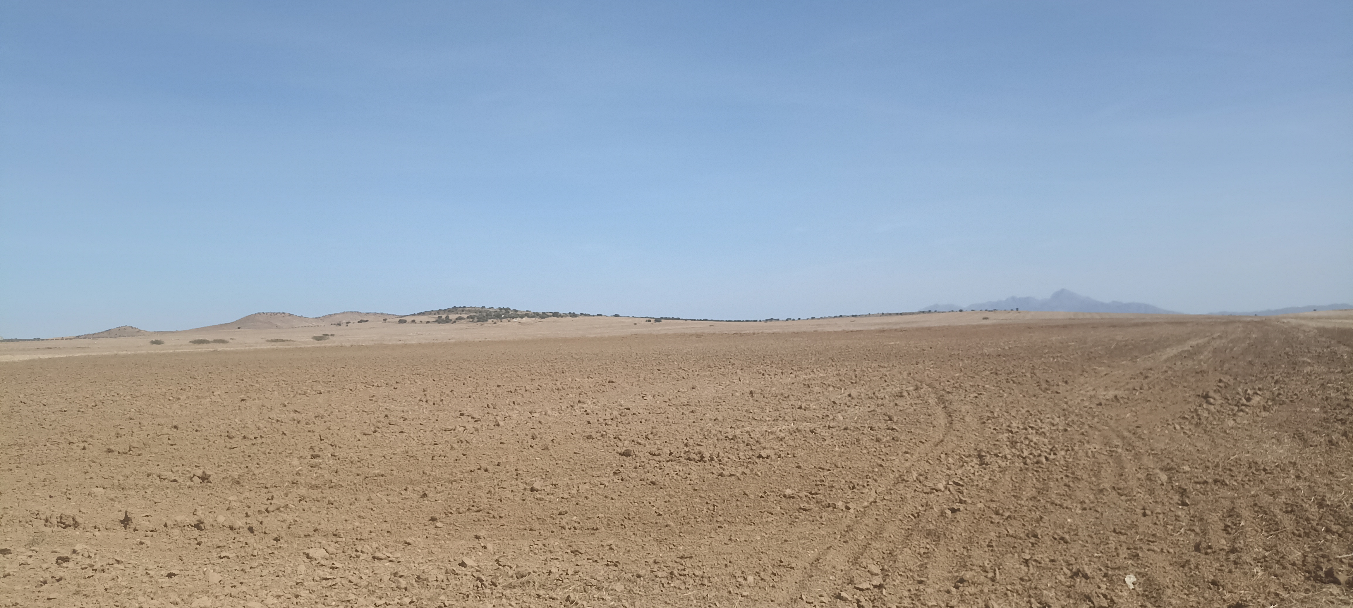 Bir Mcherga Delaiel El Arouss Terrain Terrain agricole 8 hectares nu excellente nappe phratique