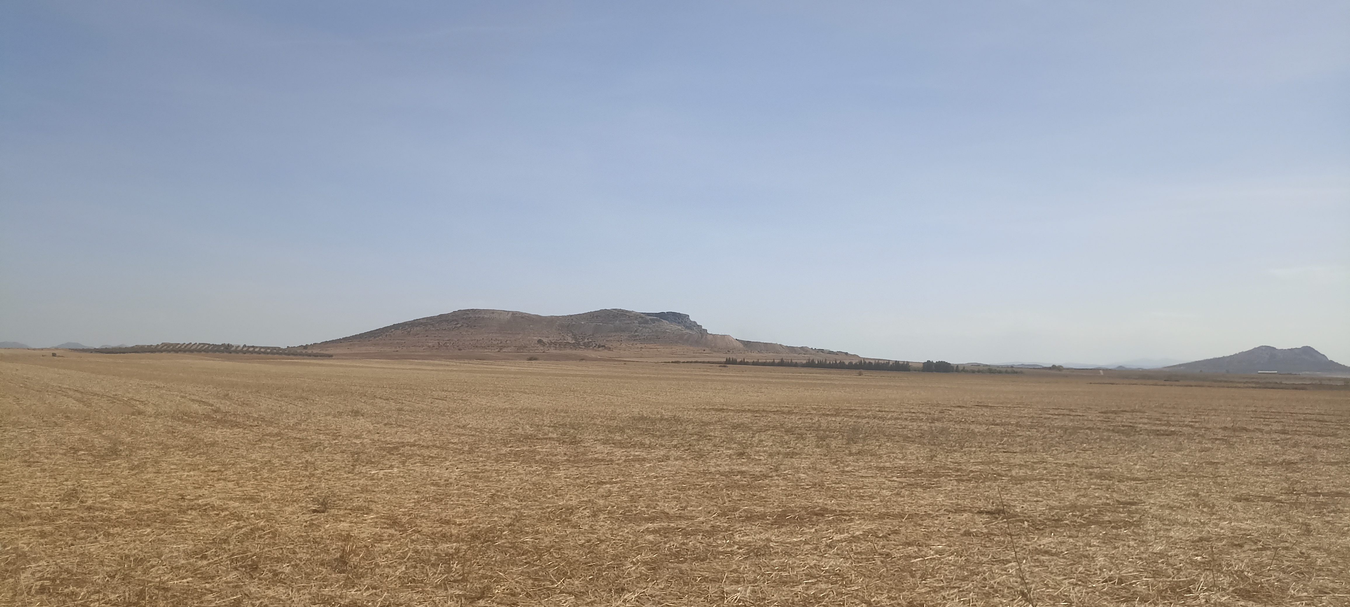 Terrain Terrain agricole