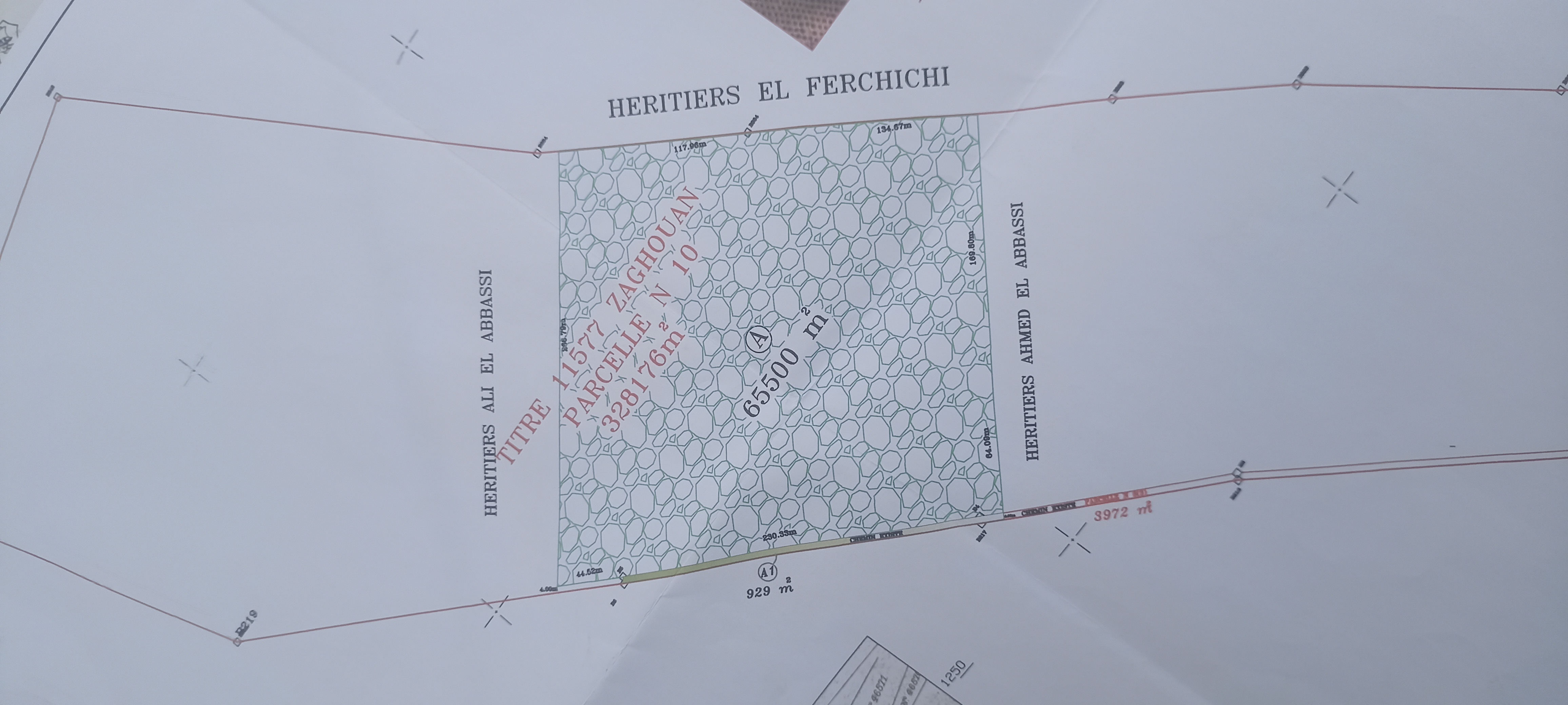 Bir Mcherga Bir Mcherga Terrain Terrain agricole Ferme de 6h5 1 400 oliviers chemlali de trois ans