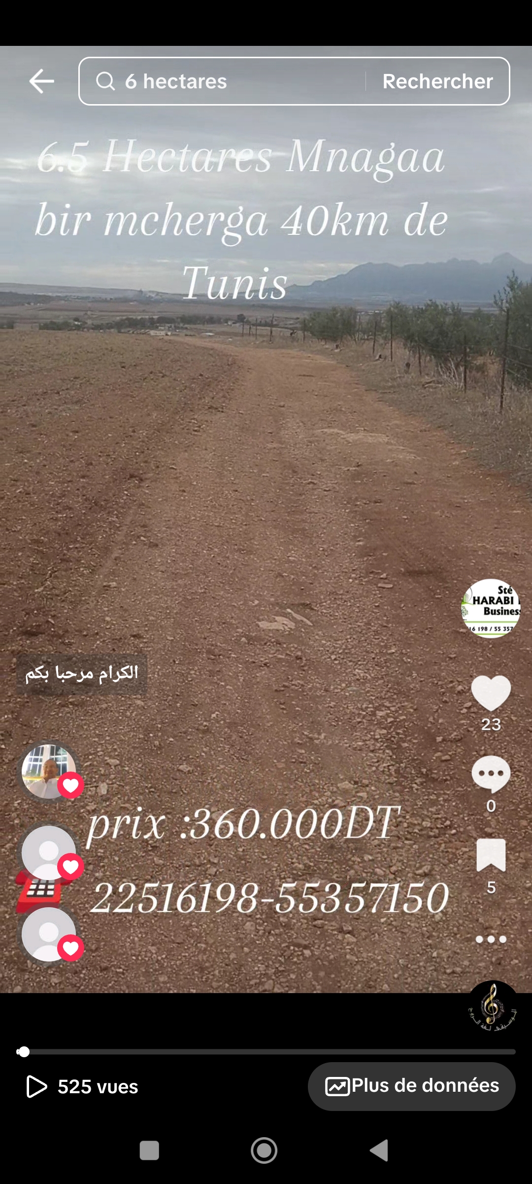 Bir Mcherga Bir Mcherga Terrain Terrain agricole Ferme de 6h5 1 400 oliviers chemlali de trois ans