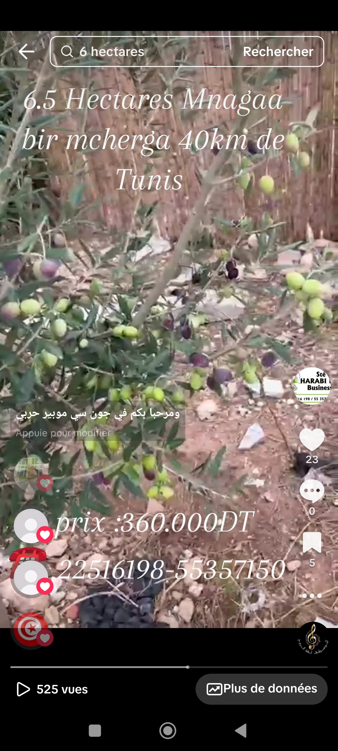 Bir Mcherga Bir Mcherga Terrain Terrain agricole Ferme de 6h5 1 400 oliviers chemlali de trois ans