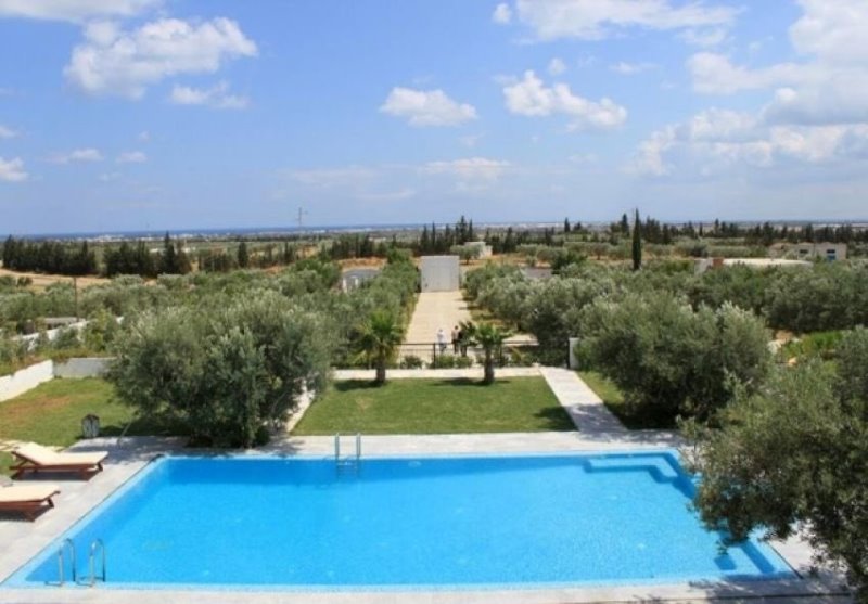 Hammamet Hammamet Vente Maisons V339 villa aicha zone elbessbessia