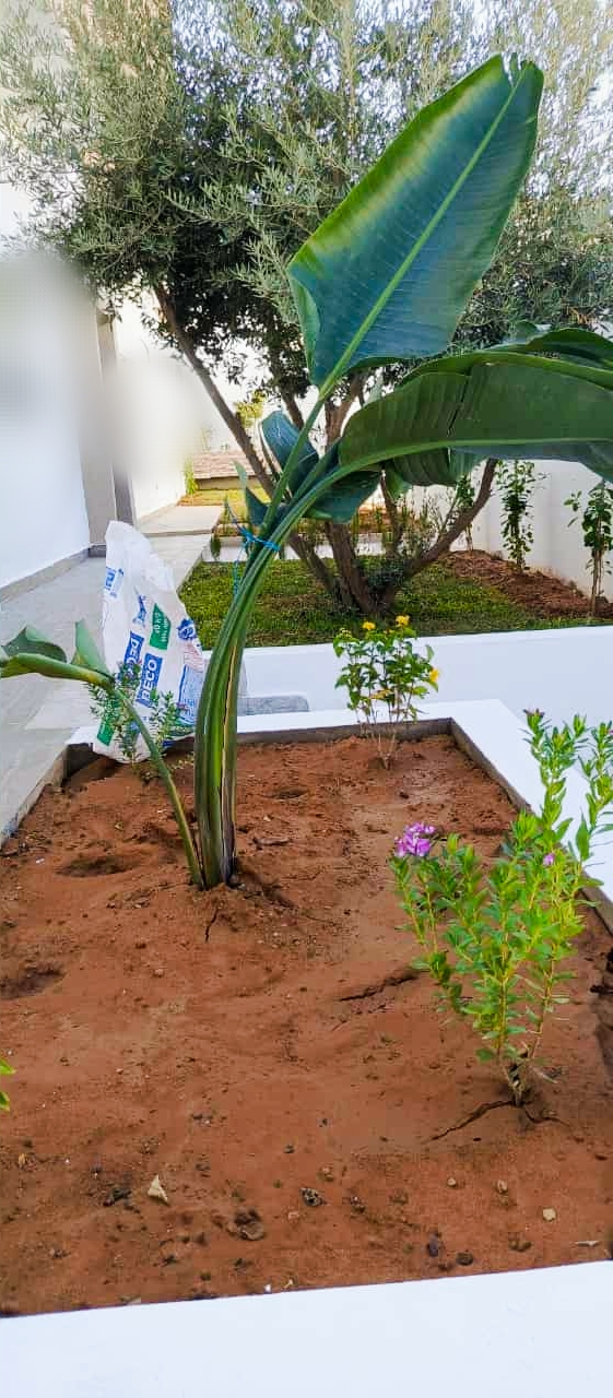 Mnihla&nbsp;Jardins d'el Menzah&nbsp;Location&nbsp;Maisons&nbsp;Jardin d'el menzah joli rdc villa avec jardin