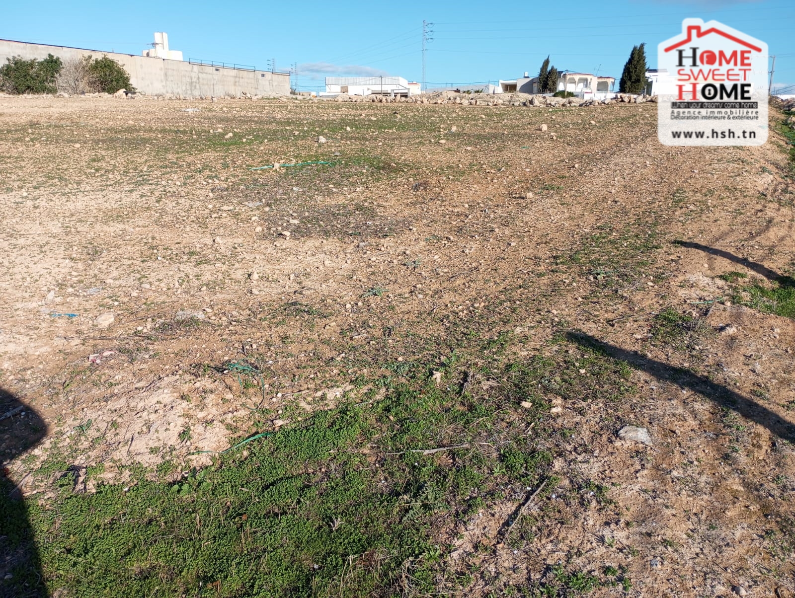 Teboursouk&nbsp;Teboursouk&nbsp;Terrain&nbsp;Terrain nu&nbsp;Terrain promoteur bristol � t�boursouk