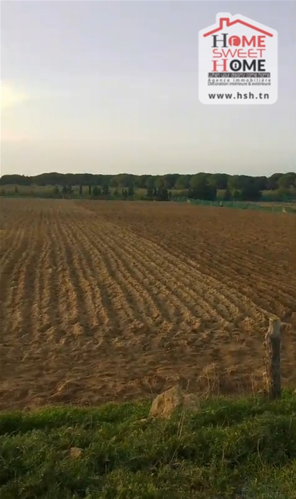 Kelibia&nbsp;Azmour&nbsp;Vente&nbsp;Autre&nbsp;Terrain agricole sama  � k�libia