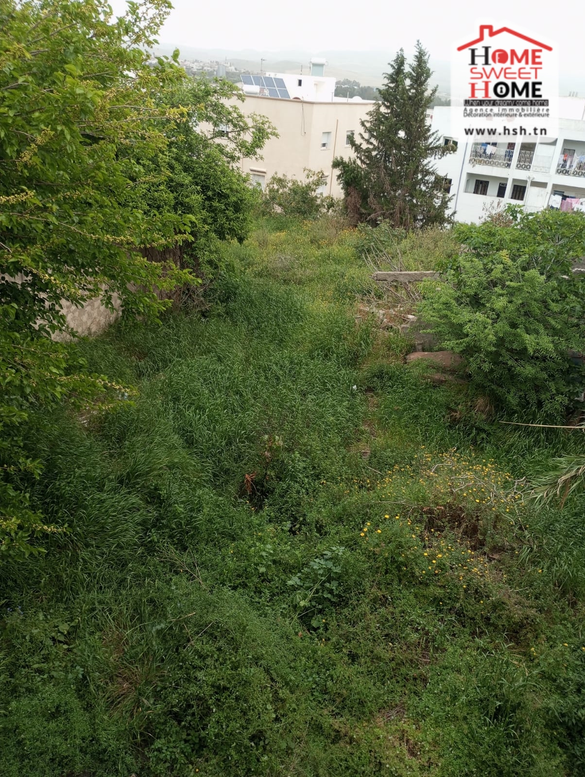 Beja Nord&nbsp;Beja&nbsp;Terrain&nbsp;Terrain nu&nbsp;Terrain villa afifa � b�ja centre