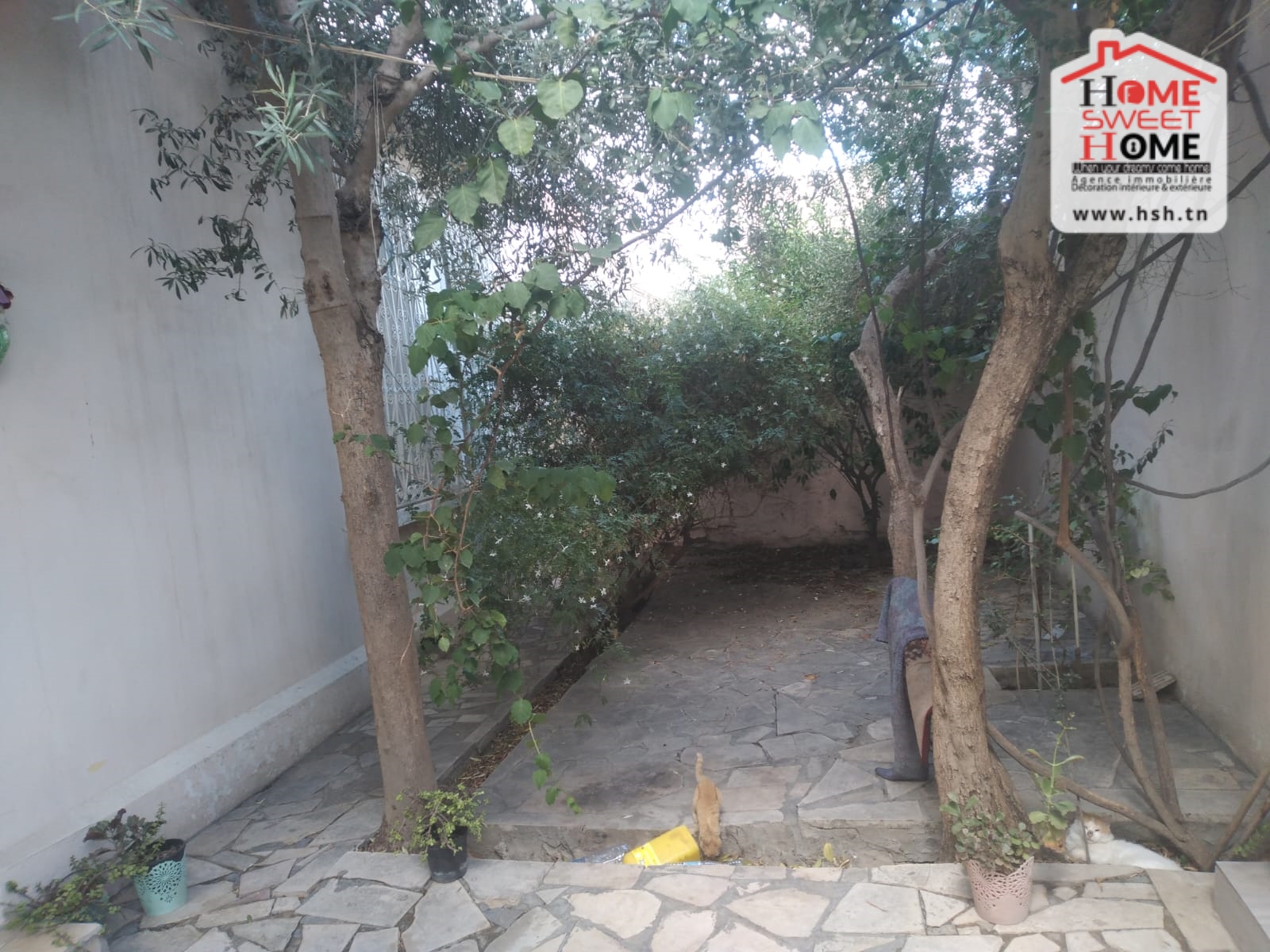 Bab Bhar&nbsp;Bab Bhar&nbsp;Terrain&nbsp;Terrain nu&nbsp;Terrain de villa mariska � bab saadoun