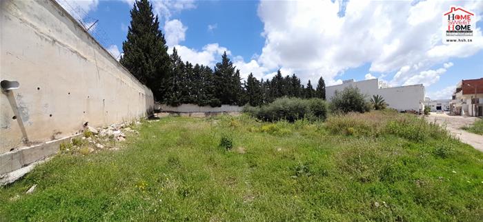 Terrain Terrain nu