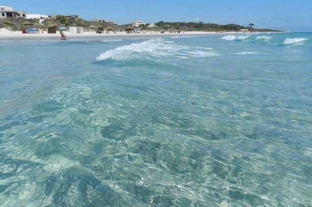 Terrain&nbsp;Terrain nu