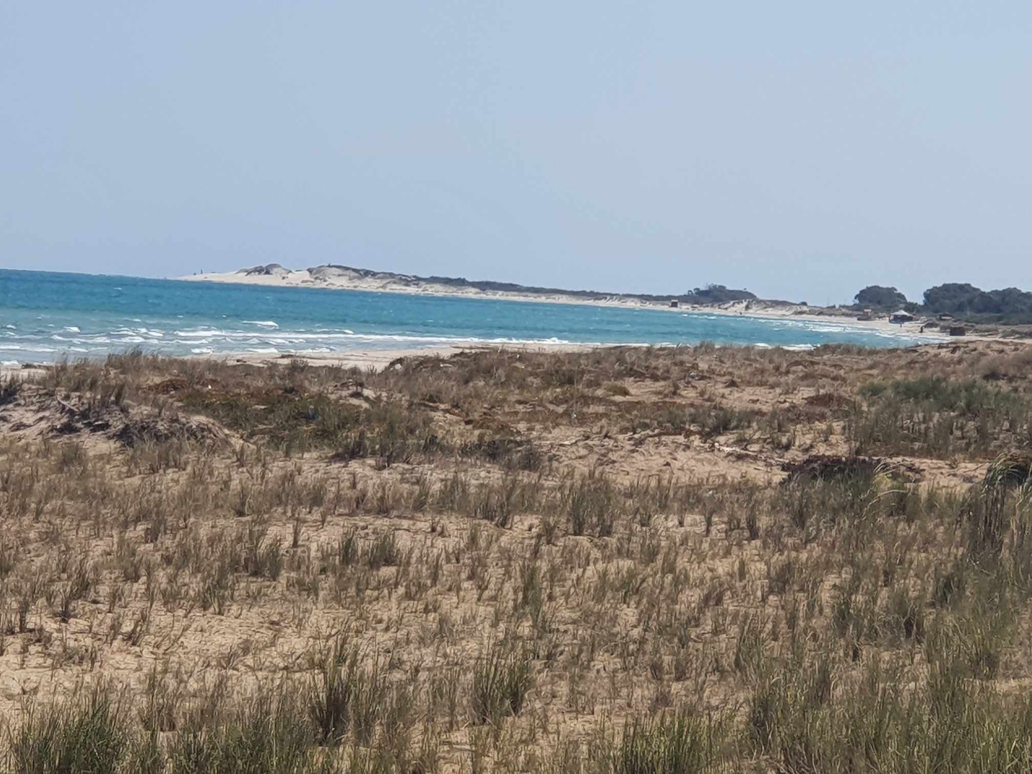 Hammam El Ghezaz Ezzahra Terrain Terrain nu Deux terrain  proximit de la plage ezzahra