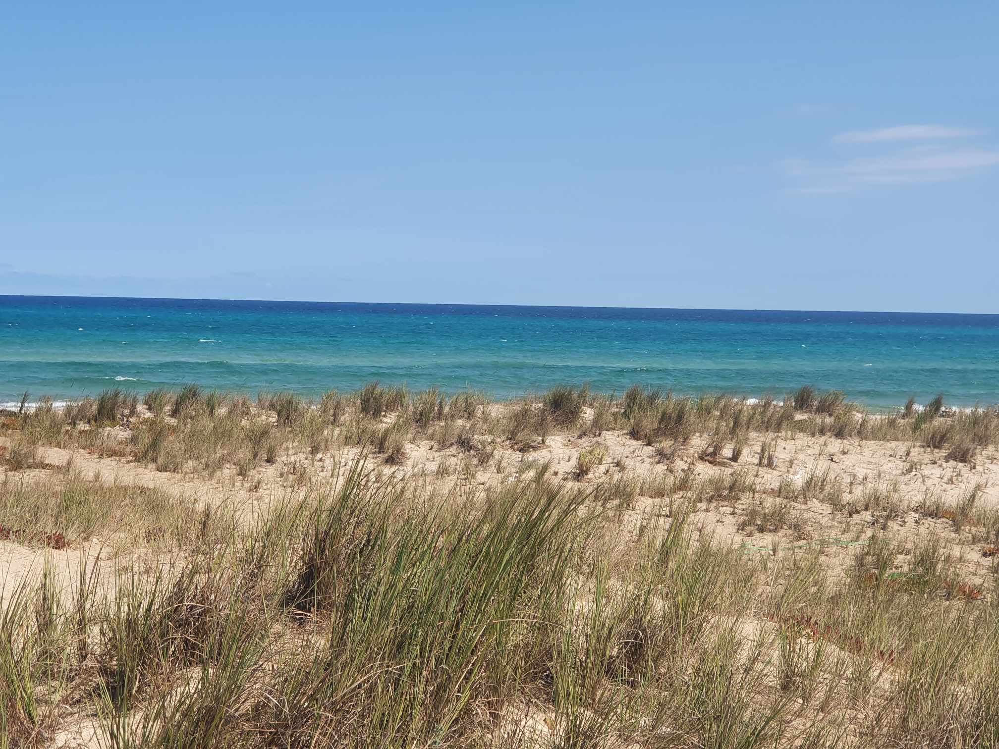 Hammam El Ghezaz Ezzahra Terrain Terrain nu Deux terrain  proximit de la plage ezzahra