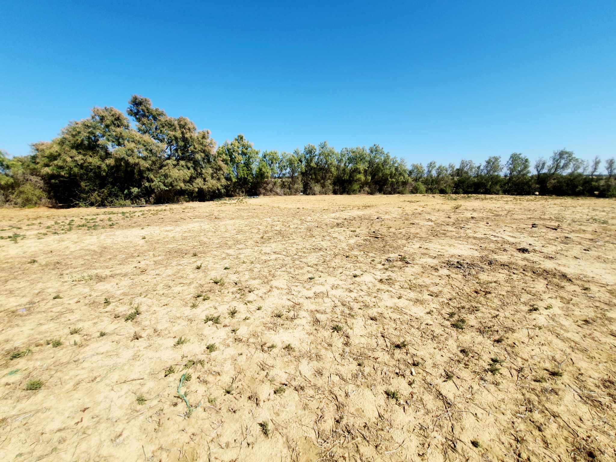 Hammam El Ghezaz Hammam El Ghezaz Terrain Terrain nu Terrain pied dans l'eau hammem ghezaz