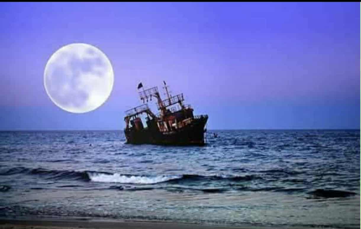 Hammam El Ghezaz Hammam El Ghezaz Terrain Terrain nu Terrain pied dans l'eau hammem ghezaz