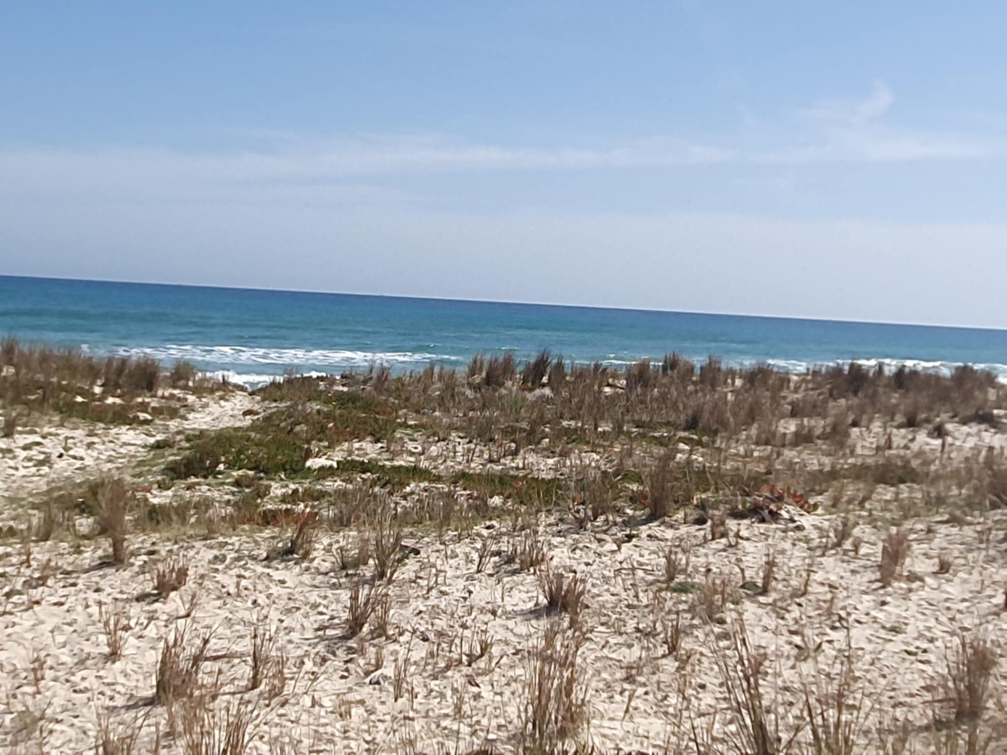 Hammam El Ghezaz Ezzahra Terrain Terrain nu Terrain constructible cltur  plage ezzahra