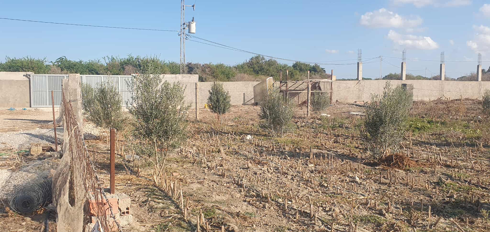 Terrain Terrain agricole