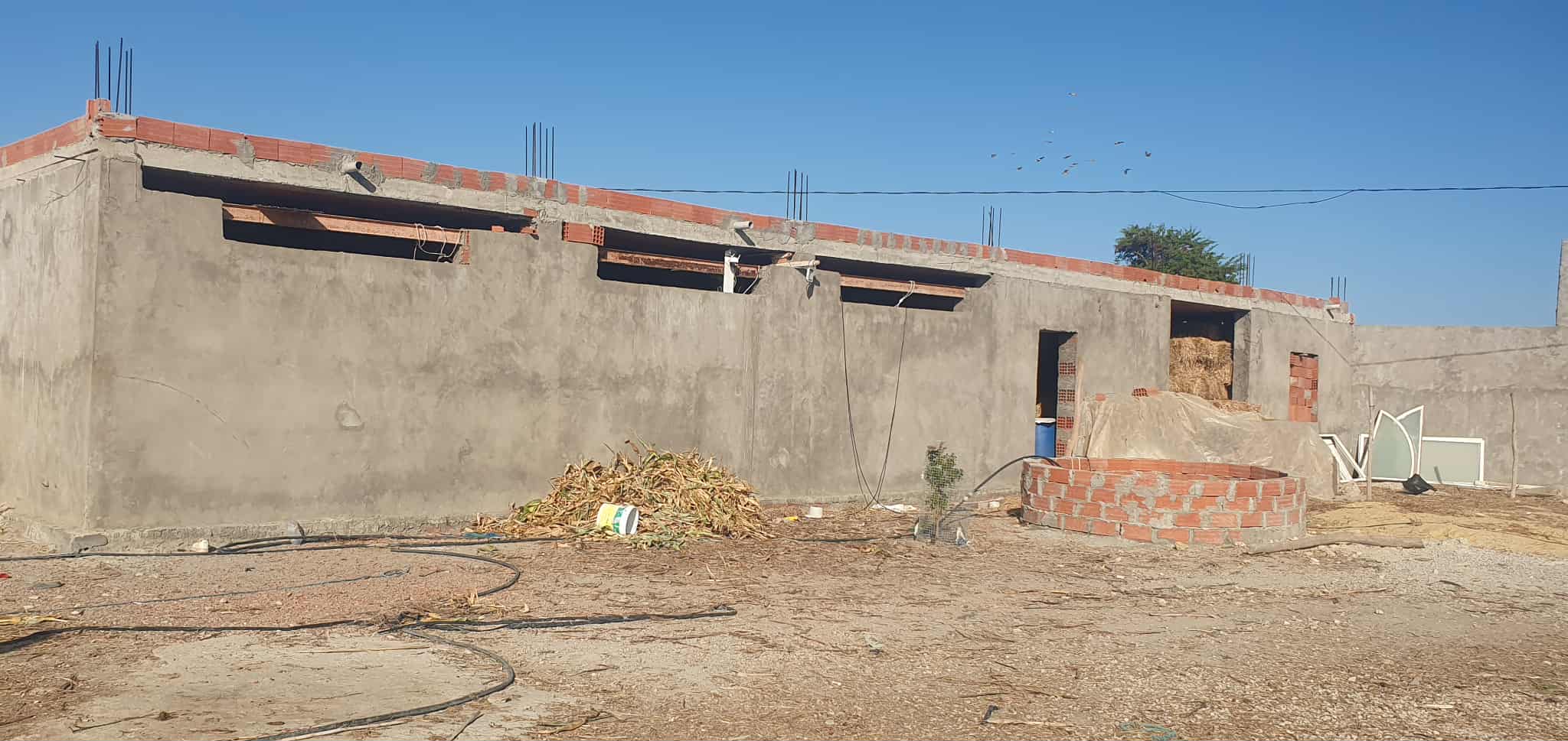 El Haouaria Charaf Terrain Terrain agricole Ferme situe dans la rgion de charef houaria