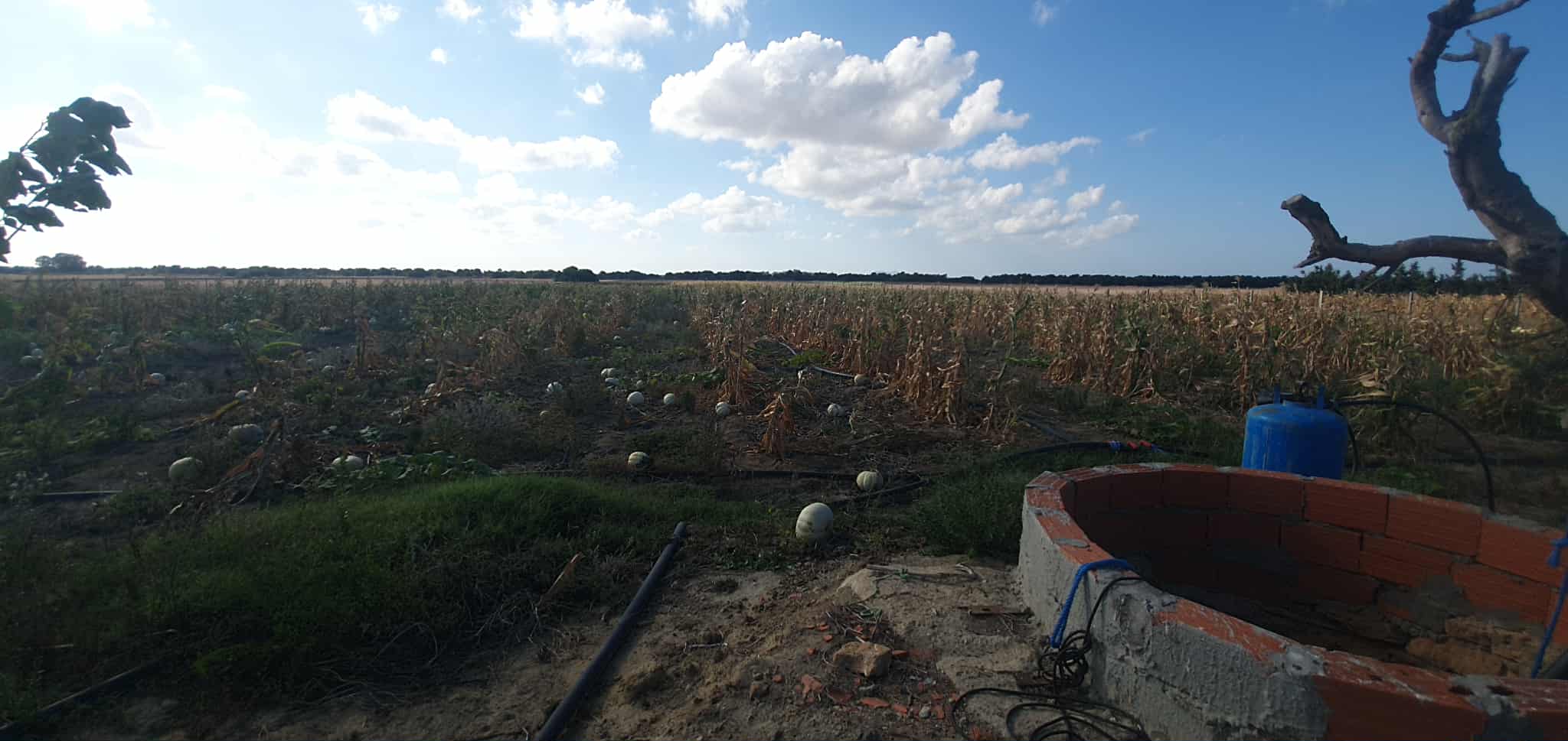 El Haouaria Charaf Vente Surfaces Ferme  chraf el haouaria