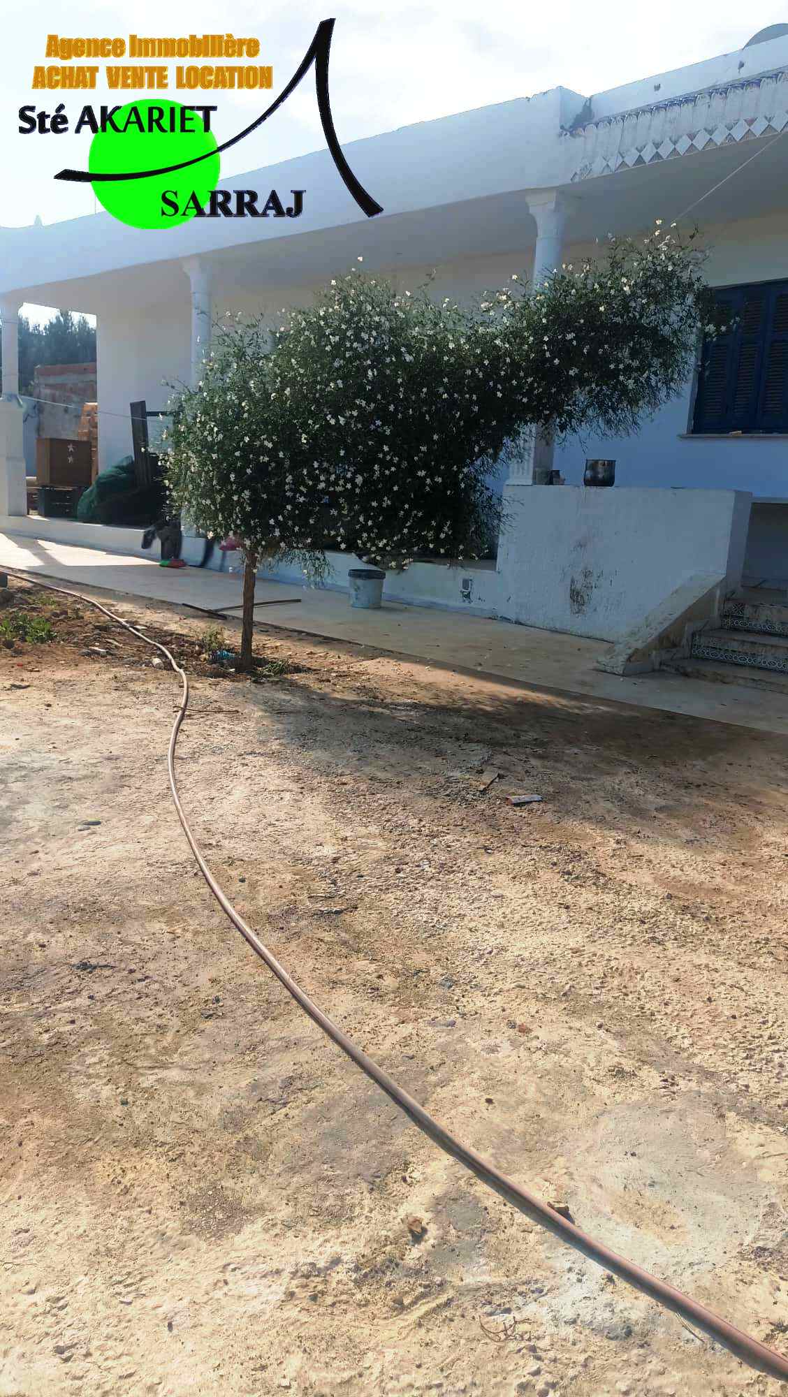 Akouda Chatt Meriem Terrain Terrain agricole Terrain cltur 1254m prs zine bledi tantana